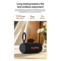 Колонка Bluetooth Blueseed BS-302 black