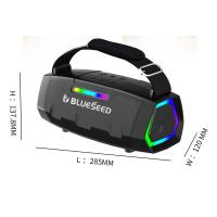 Колонка Bluetooth Blueseed BS-602 black