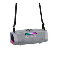 Колонка Bluetooth Blueseed BS-602 silver