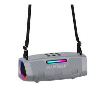 Колонка Bluetooth Blueseed BS-602 silver