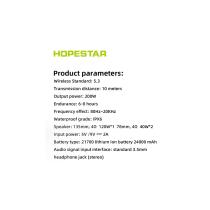 Колонка Bluetooth Hopestar A6 Club camouflage
