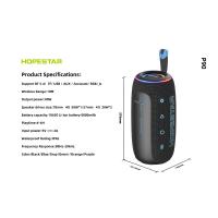 Колонка Bluetooth Hopestar P90 black