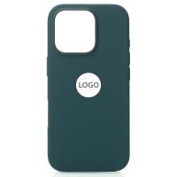 Силиконовый чехол Lux Colors с поддержкой MagSafe для iPhone 16 Pro Lake Green